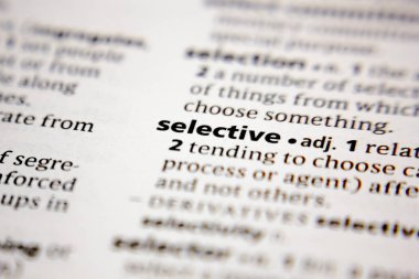 Sözlük içinde sözcük veya ifade seçici.