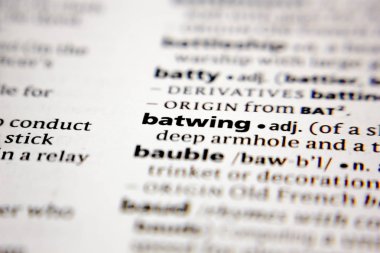 Kelime veya cümle bir sözlükte Batwing.