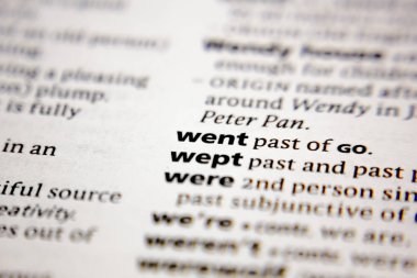 Kelime veya cümle bir sözlüğe gitti.