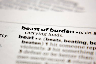 Bir sözlükte yük kelime veya cümle canavarı.