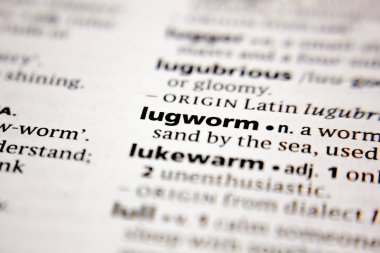 Sözlükte kelime veya ifade kum kurdu.