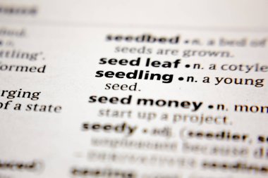 Sözlükte kelime veya cümle fide.