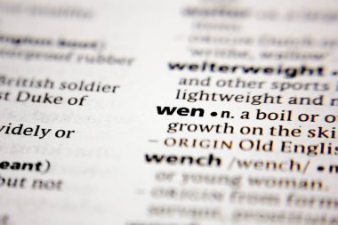 Sözlükte kelime veya cümle Wen.