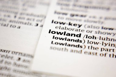 Sözlükte Word veya tümcecik ova.