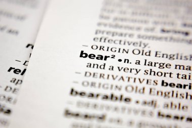 Kelime veya cümle bir sözlükte ayı.