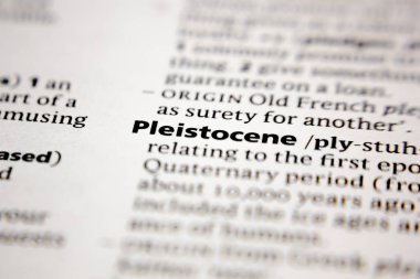 Kelime veya cümle Pleistocene bir sözlük.