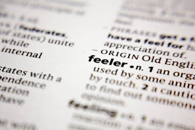 Sözlükte sözcük veya tümcecik.