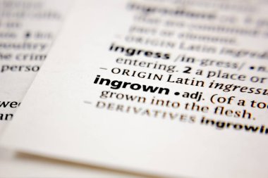 Kelime veya cümle bir sözlükte ınrown.