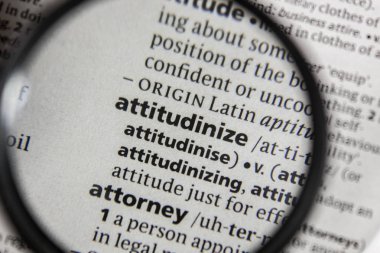 Sözlükte attitudinize kelime veya ifade.