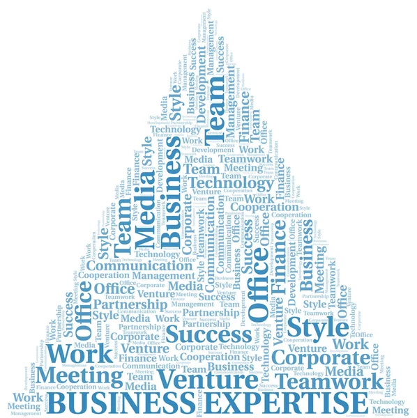 Business Expertise Wort Wolke. Collage nur mit Text. — Stockvektor