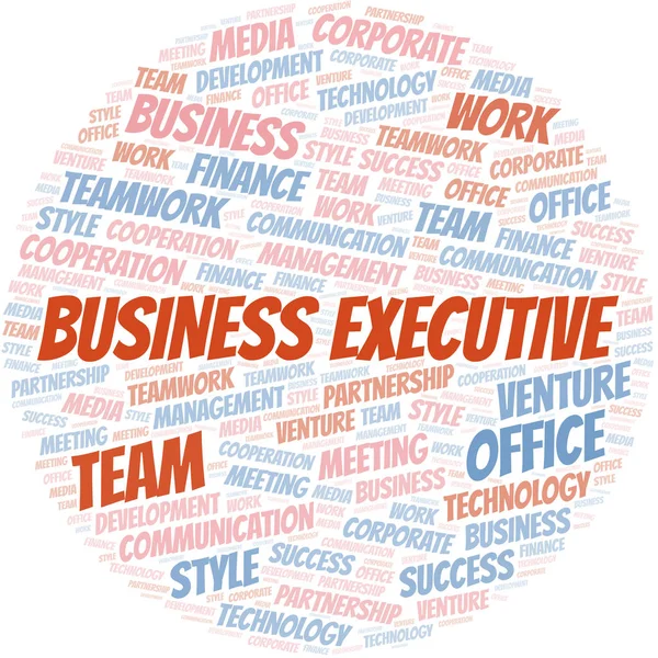 Business Executive word cloud. Collage made with text only. — Stock Vector