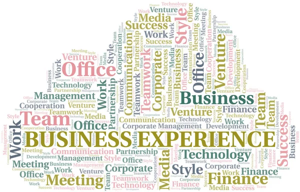 Business Experience word cloud. Collage made with text only. — Stock Vector