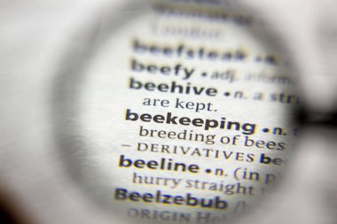 Sözlükte arıcılık kelimesi veya deyimi.