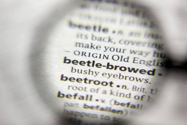 Kelime veya ifade Beetle-bir sözlükte browed.