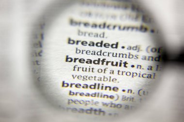 Sözlükteki Breadfruit sözcüğü veya deyimi.