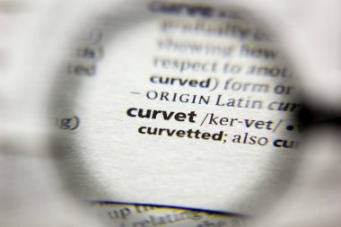 Sözlükteki eğri sözcük veya tümcecik.