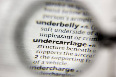 Sözlükteki alt adlaifade sözcüğü veya tümceciği.