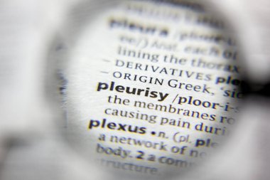 Sözlükteki plörezi sözcüğü veya tümceciği.