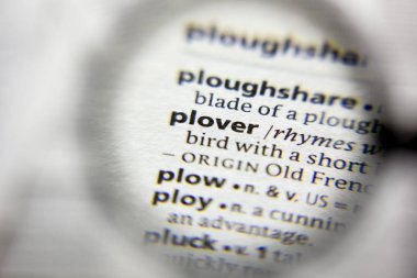 Sözlükteki plover sözcüğü veya tümceciği.