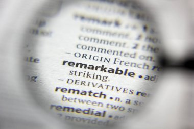 Sözlükte Dikkate Değer sözcük veya tümcecik.