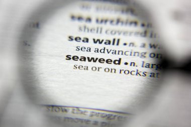 Sözlükte seaweed kelimesi veya deyimi.