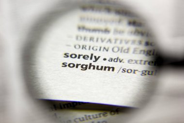 Sözlükteki sorgum sözcüğü veya tümceciği.