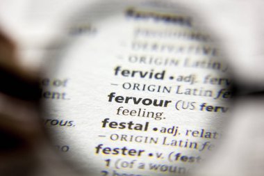 Sözlükte Fervour kelimesi veya deyimi.