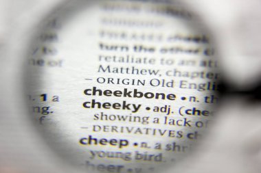 Sözlükteki sözcük veya ifade Elmacık Kemiği.