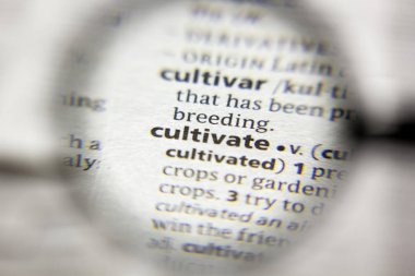 Sözlükte Ekili sözcük veya tümcecik.