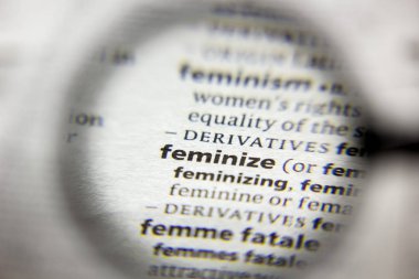 Sözlükteki Feminize sözcüğü veya tümceciği.