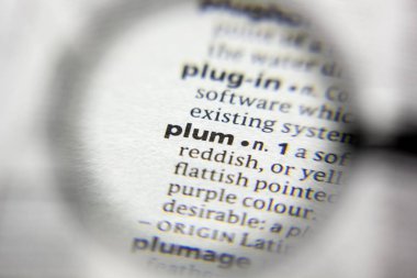 Sözlükteki kelime veya kelime Plum.