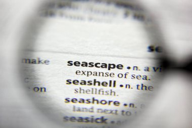 Sözlükteki kelime veya ifade Seascape.