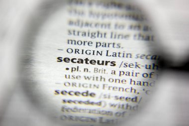 Sözlükteki sözcük veya ifade Secateurs.