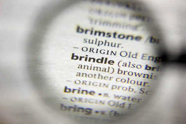 A palavra ou frase Brindle em um dicionário . — Fotografia de Stock