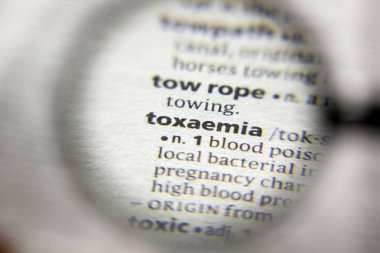 Sözlükte toksemi sözcüğü veya deyimi.