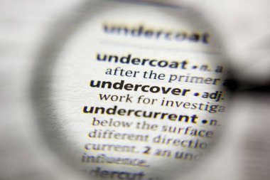 Sözlükte Gizli sözcük veya tümcecik.