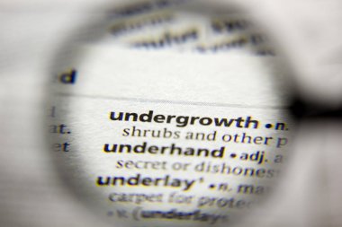 Sözlükteki alt ibare sözcüğü veya tümceciği.