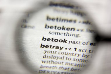 Sözlükte kullanılan sözcük veya tümcecik.