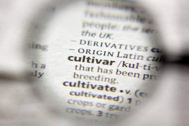 Sözlükteki kelime veya deyim Cultivar.