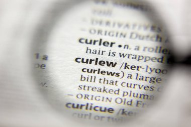 Sözlükteki Curlew sözcüğü veya tümceciği.