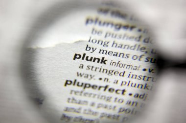 Sözlükteki Plunk sözcüğü veya tümceciği.