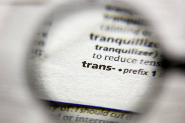 Sözlükteki Trans sözcüğü veya tümceciği.