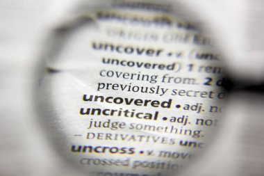 Sözlükte ortaya çıkarılan sözcük veya tümcecik.