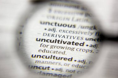 Sözlükte ekilmemiş sözcük veya tümcecik.