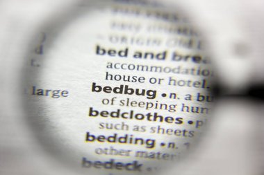 Sözlükteki kelime veya kelime Tahtakurusu.