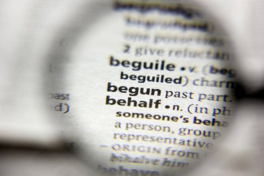 Sözlükte Başlatılan sözcük veya tümcecik.