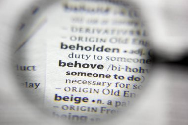 Sözlükteki behove sözcüğü veya tümceciği.