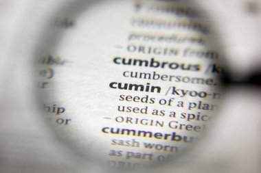 Sözlükteki kelime veya cümle Kimyon.