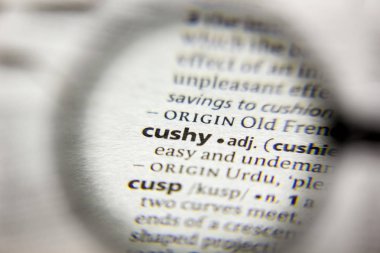 Sözlükteki Rahat sözcük veya sözcük.