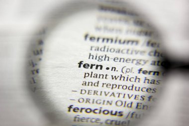 Sözlükte Fern sözcüğü veya tümceciği.